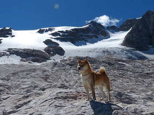 节奏变化能否打乱对手防守部署，节奏打击