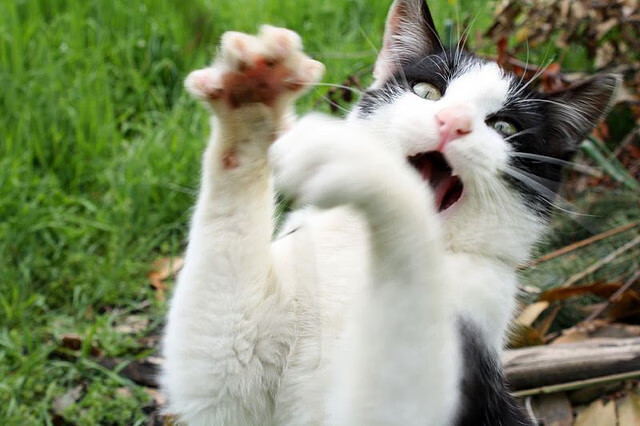 塞维利亚反击犀利提升得分效率，塞维利亚的